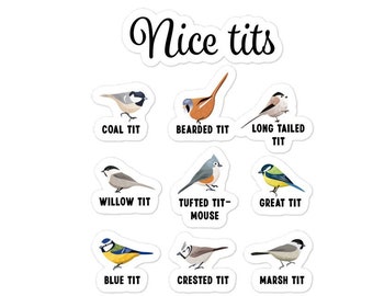 Nice Tits Bird Svg - Etsy