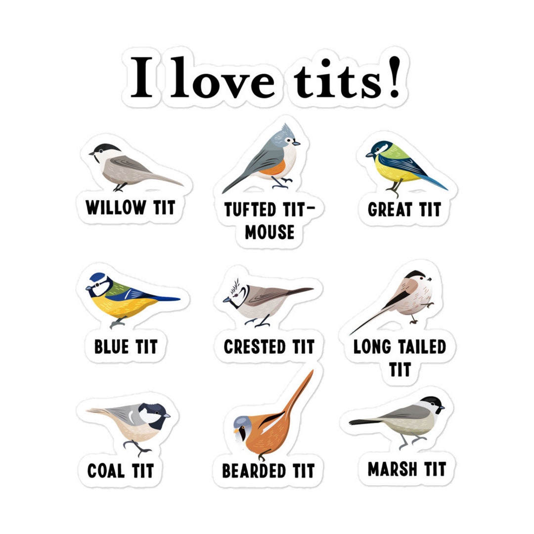 Funny I Love Tits Bird Gift for Birder Men Women Sticker -  Canada