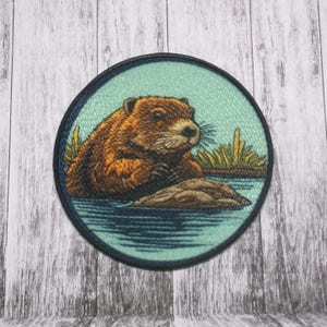 May include: A round embroidered patch featuring a brown beaver sitting on a rock in a blue body of water. The beaver is looking to the right and has a light brown nose and whiskers. The background is a light blue with green grass.