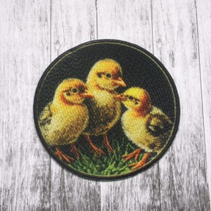 May include: A round patch with a black background and three yellow chicks on a green bed of grass. The chicks are facing different directions and have black eyes.