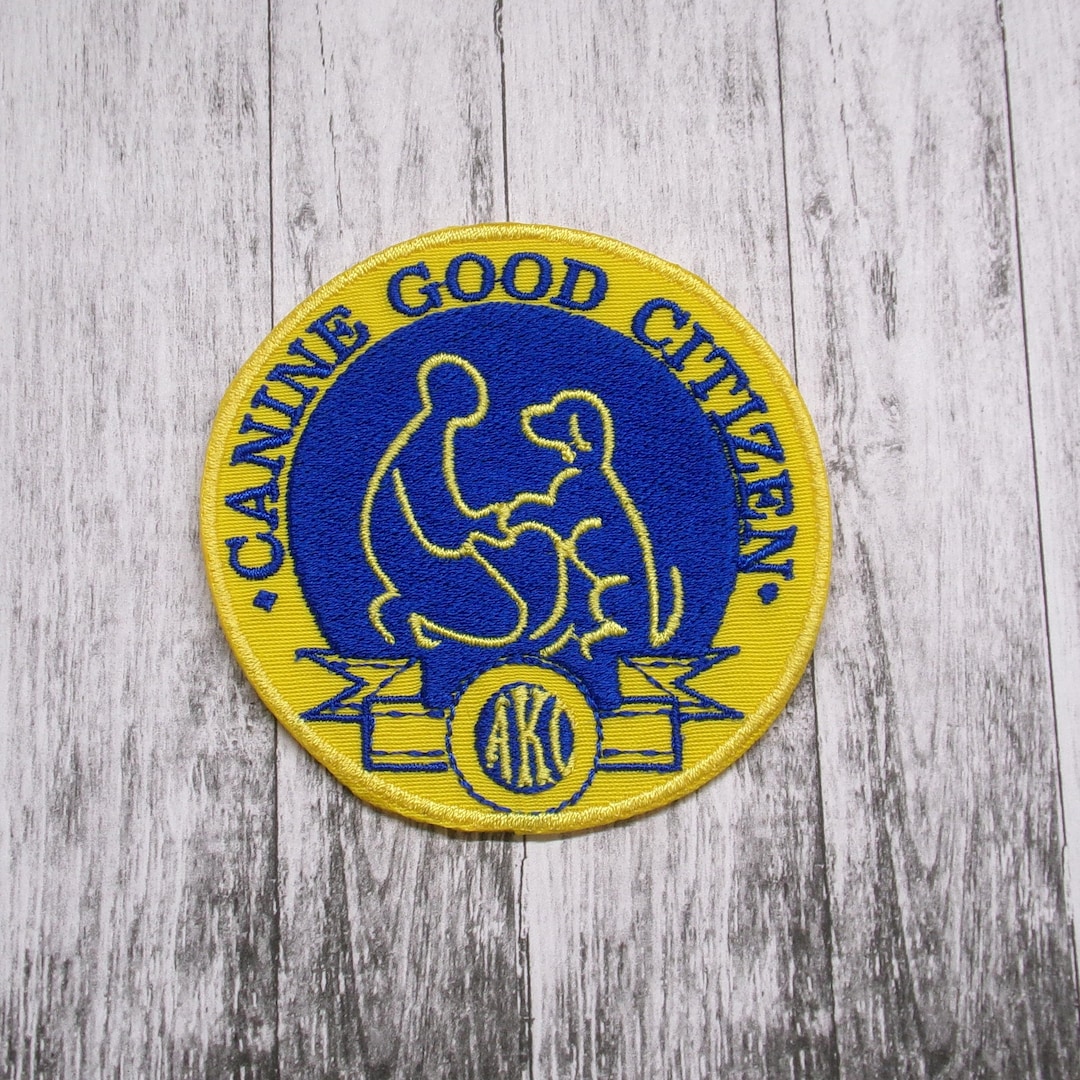 Test Cgc Dog Tag Akc Cgc Test Items Canine Good Citizen Tags