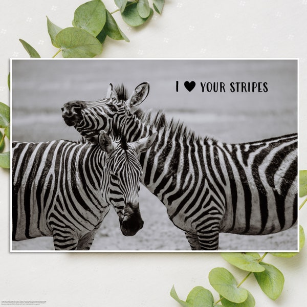 Card, poster: Zebra, Quote, I love your stripes, black and white, rare, rare disease, love, couple; card, I love your stripes, couple