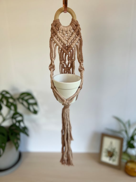 Small Plant Hanger With Pot - Dusty Rose