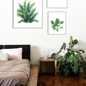 K&ouml;nnte beinhalten: Drei gerahmte Aquarellbilder von tropischen Pflanzen, darunter Bananenbl&auml;tter, Monstera-Bl&auml;tter und eine h&auml;ngende Rebe, die an einer wei&szlig;en Wand &uuml;ber einem Holzbettgestell angebracht sind.