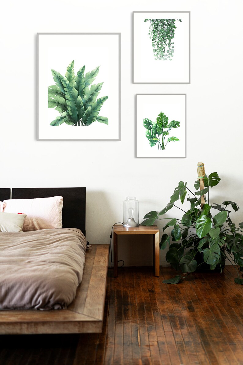K&ouml;nnte beinhalten: Drei gerahmte Aquarellbilder von tropischen Pflanzen, darunter Bananenbl&auml;tter, Monstera-Bl&auml;tter und eine h&auml;ngende Rebe, die an einer wei&szlig;en Wand &uuml;ber einem Holzbettgestell angebracht sind.