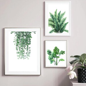 K&ouml;nnte beinhalten: Drei gerahmte Aquarelldrucke von gr&uuml;nen tropischen Pflanzen. Die Drucke sind auf wei&szlig;em Hintergrund und in wei&szlig;en Rahmen gerahmt. Die Drucke h&auml;ngen an einer hellgrauen Wand.