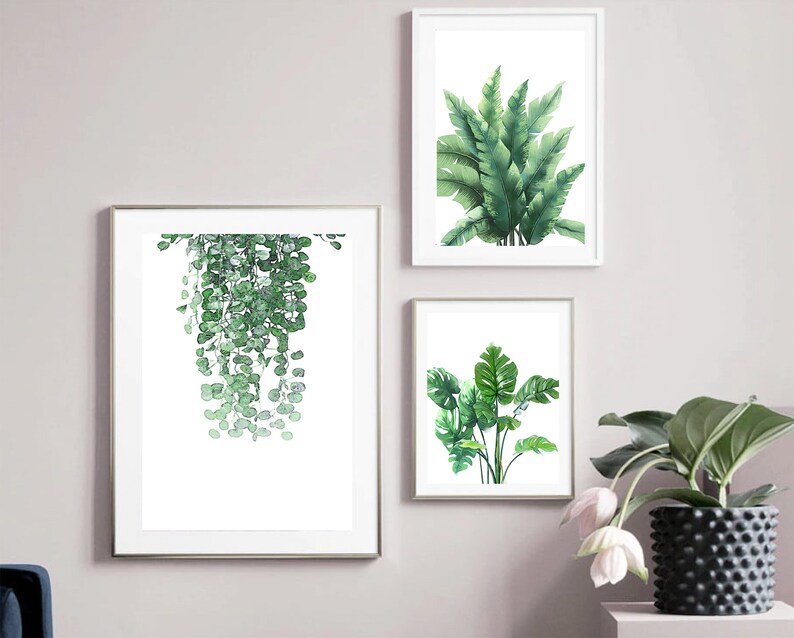 K&ouml;nnte beinhalten: Drei gerahmte Aquarelldrucke von gr&uuml;nen tropischen Pflanzen. Die Drucke sind auf wei&szlig;em Hintergrund und in wei&szlig;en Rahmen gerahmt. Die Drucke h&auml;ngen an einer hellgrauen Wand.