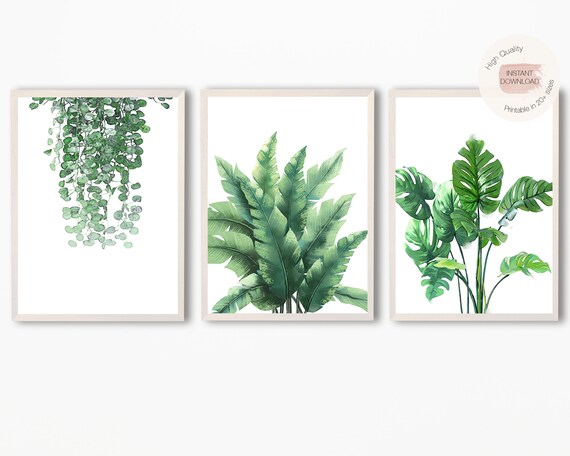 Set of 3 Botanical Prints, Eucalyptus Prints,Watercolor Plants, Hanging Plants Prints,Tropical Leaf Prints,Green Leaf Prints,Greenery Poster