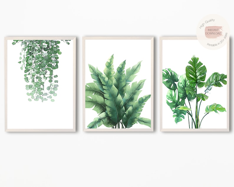 K&ouml;nnte beinhalten: Set aus drei botanischen Drucken mit Aquarell-Illustrationen von gr&uuml;nen Bl&auml;ttern. Die Drucke sind in Wei&szlig; gerahmt und zeigen eine Vielzahl von tropischen Pflanzen.