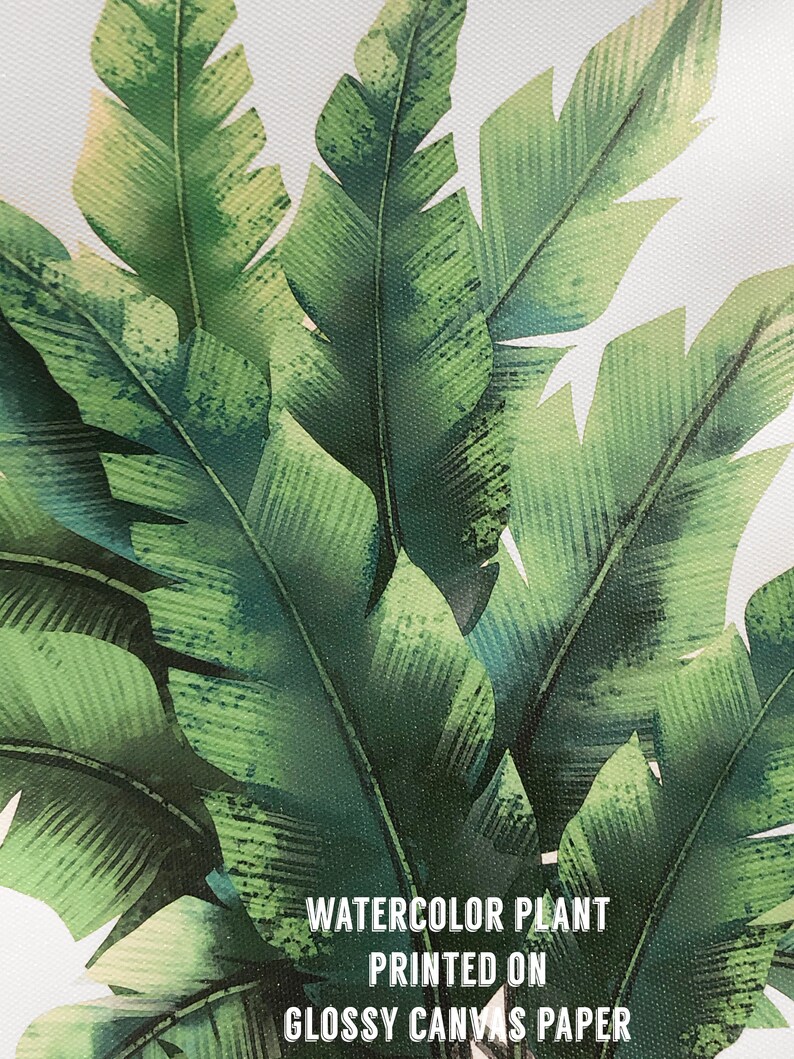 K&ouml;nnte beinhalten: Aquarellmalerei von gr&uuml;nen tropischen Bl&auml;ttern auf wei&szlig;em Hintergrund. Der Text "WATERCOLOR PLANT PRINTED ON GLOSSY CANVAS PAPER" ist unten im Bild gedruckt.