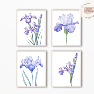 Set of 4 Iris Watercolor Print,Purple Iris Flower Printable Wall Art,Floral Gallery Wall Art,Botanical Print,Minimal Flower Art Wall Decor