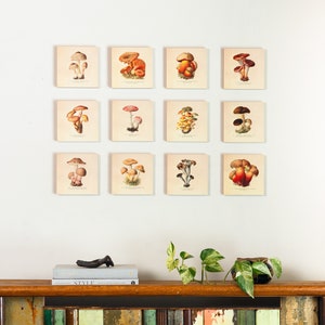 Mushroom Wall Decor, Mushroom Art, Whimsical Wall Art, Nature Home Decor, Living Room Art Print - Set of 6" x 6" Wooden Photo Blocks