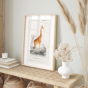 Giraffe Art Print- Professional Art Print - Giraffe Artwork, Giraffe Wall Art, Giraffe Poster, Nursery Wall Art, Nursery Decor