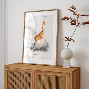Giraffe Art Print- Professional Art Print - Giraffe Artwork, Giraffe Wall Art, Giraffe Poster, Nursery Wall Art, Nursery Decor