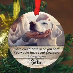 Pet Memorial Ornament with Photo - Dog Loss Gift - Pet Remembrance - Dog Memorial Ornament - Pet Memorial Keychain - Christmas Ornaments