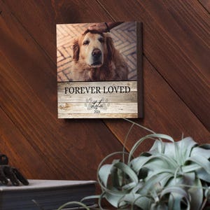 Personalized Pet Memorial Printed 4" or 6" - Wood Photo Block - Dog Loss Gift - Dog Memorial Gift - Pet Loss Gift Dog - Pet Memorial Gift image 12