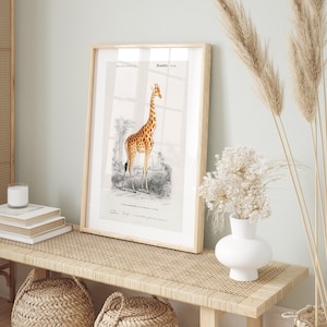 Giraffe Art Print- Professional Art Print - Giraffe Artwork, Giraffe Wall Art, Giraffe Poster, Nursery Wall Art, Nursery Decor