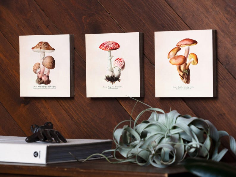Mushroom Wall Decor, Mushroom Art, Whimsical Wall Art, Nature Home Decor, Living Room Art Print - Set of 6" x 6" Wooden Photo Blocks image 2
