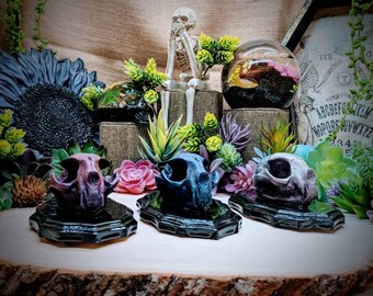 Cat Skull / wall hanging/ witchy decor/ Halloween