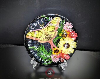 Madagascan Comet Moth Pendulum Board