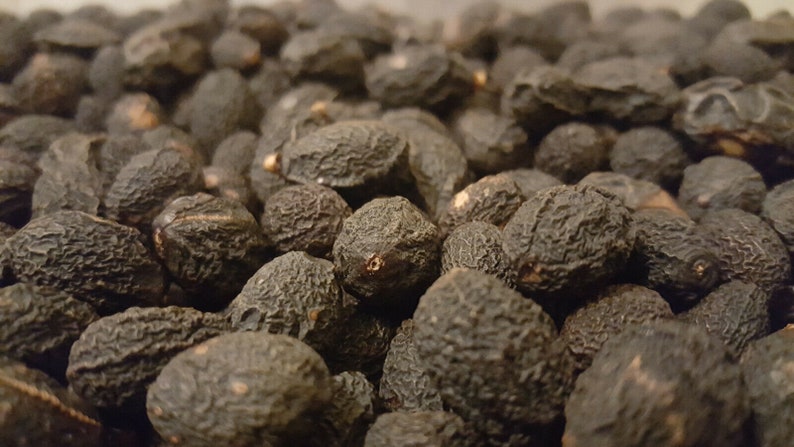 Pode incluir: Uma imagem de close-up de um monte de frutas secas de cor marrom escura e enrugada. A fruta est&aacute; disposta em um padr&atilde;o aleat&oacute;rio, com algumas frutas sobrepostas.