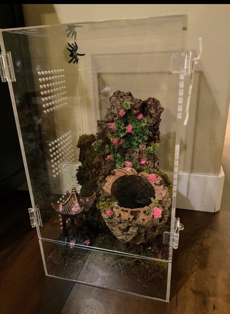 Arboreal Tarantula Habitat Etsy