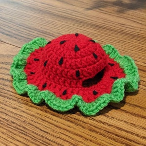 Crochet Watermelon Hat Costume for Cats