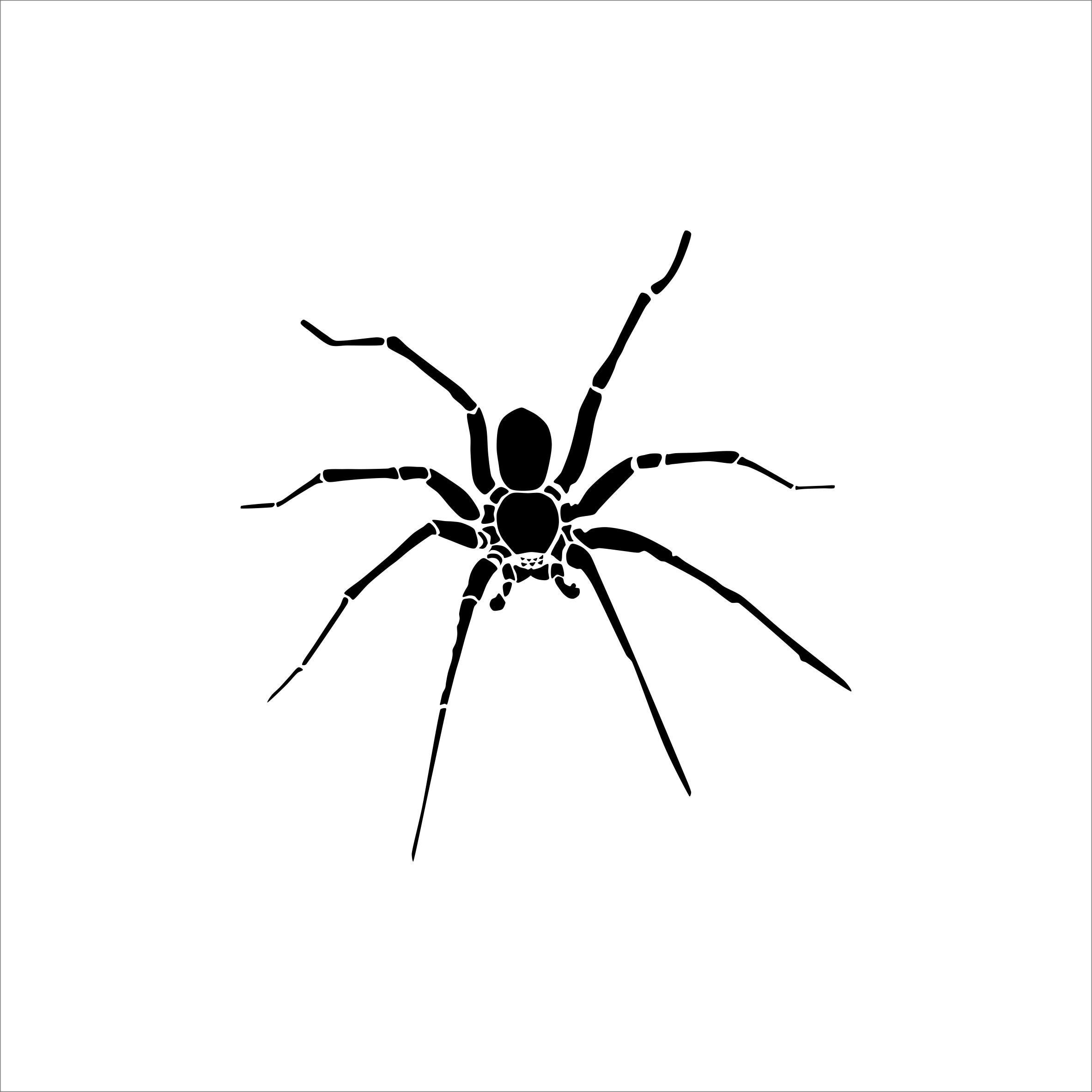 Spiders, Set of Three Drawings, Clip Art, Vector Drawing