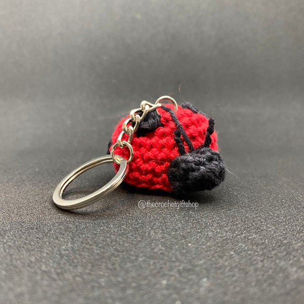 Ladybird Keyring | Keychain