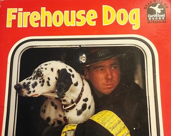 Petit chien de caserne de pompiers vintage 1993 Little Beat Up !