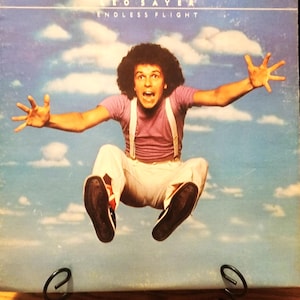 Vintage Leo Sayer Endless Flight Vinyl Record LP