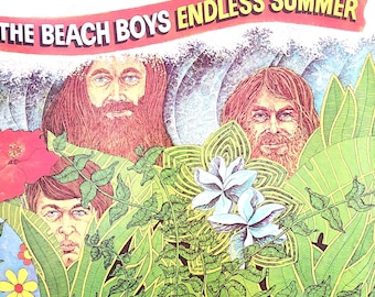 Vintage the Beach Boys Endless Summer LP Vinyl Album Record 12