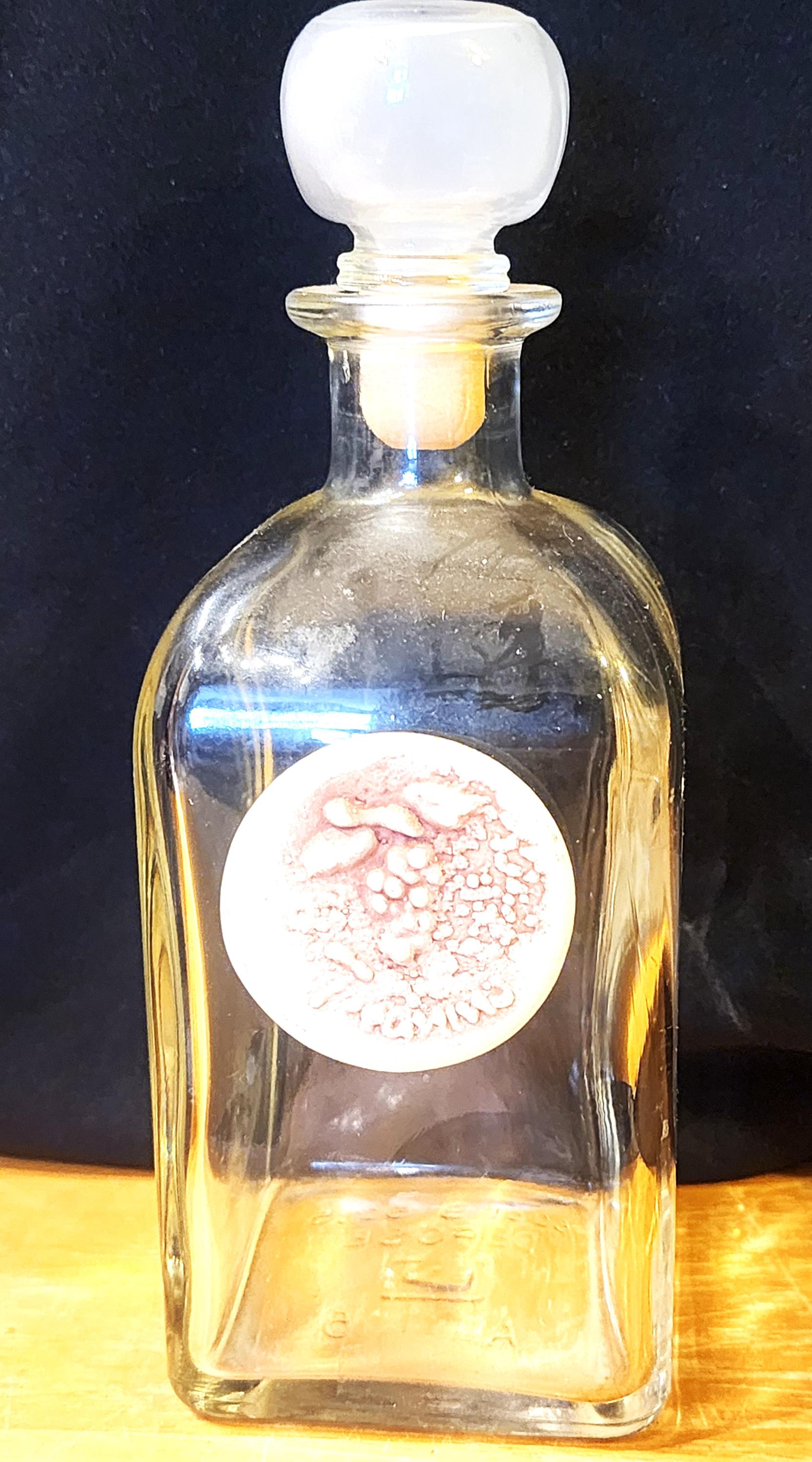 ShellysVintageGifts - Etsy