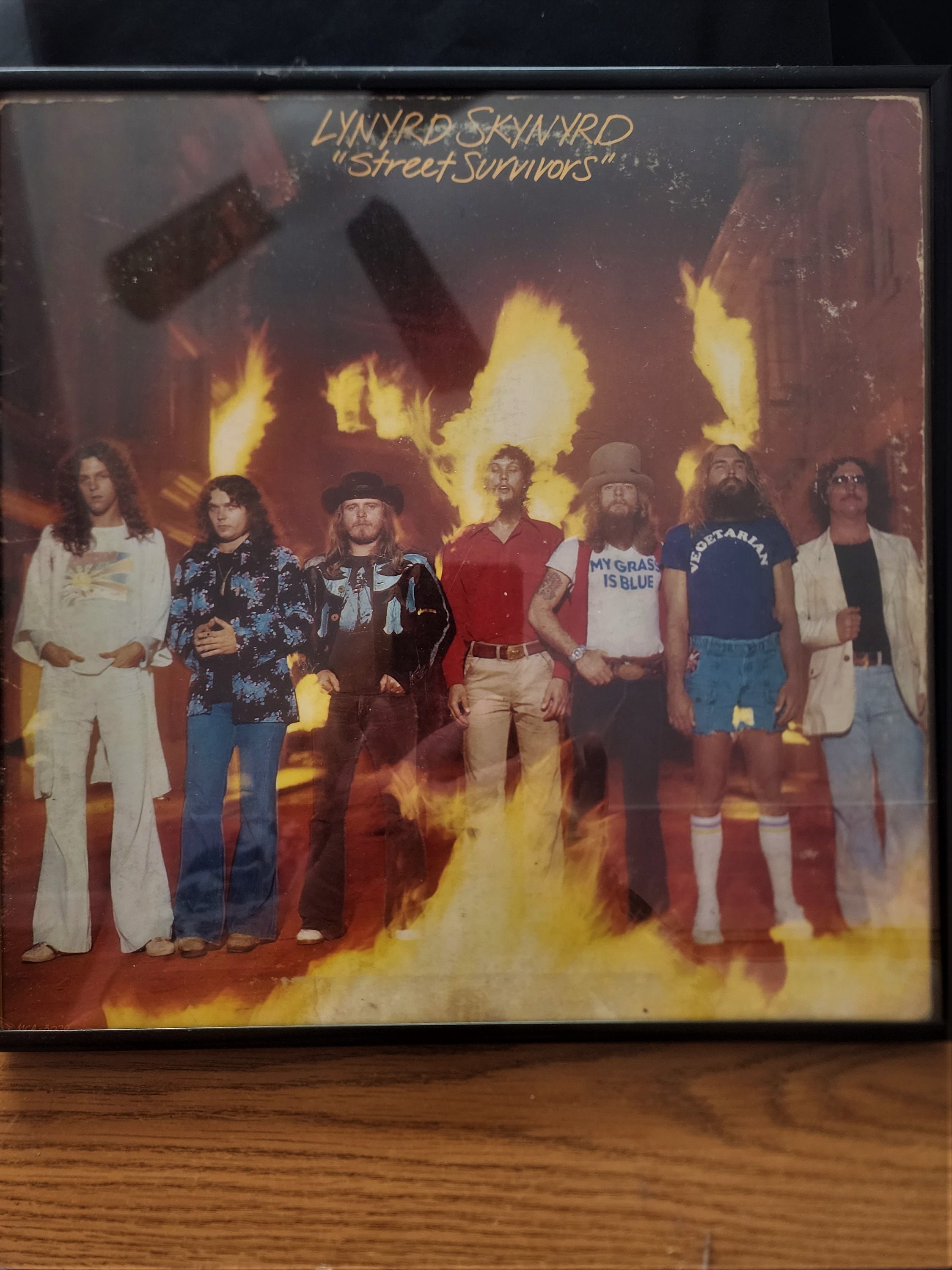 lynyrd skynyrd street survivors album