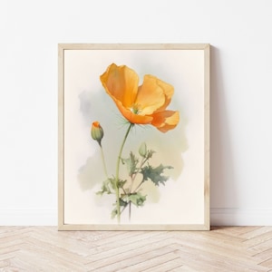 Poppy Print - Digital Download | Poppy Wall Art | California Poppy | Watercolor Print | Floral Print