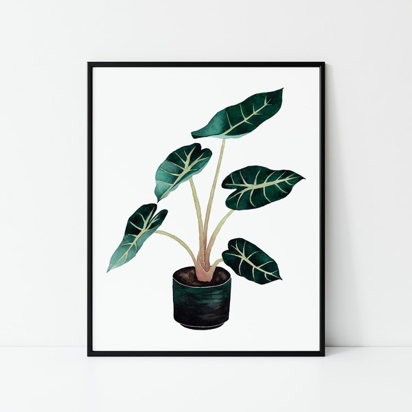 Alocasia Plant Print, Printable House Plant, Botanical Art, Watercolor Painting, Modern Plants, Plant, Home Decor Wall Art, Digital Print