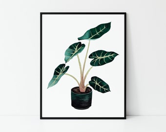 Direct downloaden | Aquarel schilderij van een Alocasia-plant, botanische kunstprint