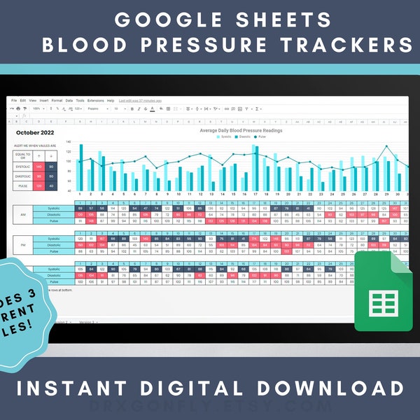 Monthly Blood Pressure Tracker AM PM Google Sheets | Hypertension Hypotension | Chronic Pain | Daily Health Wellness Log | Digital Download