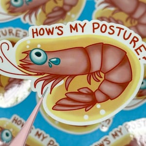 Shrimp Posture Vinyl Aufkleber