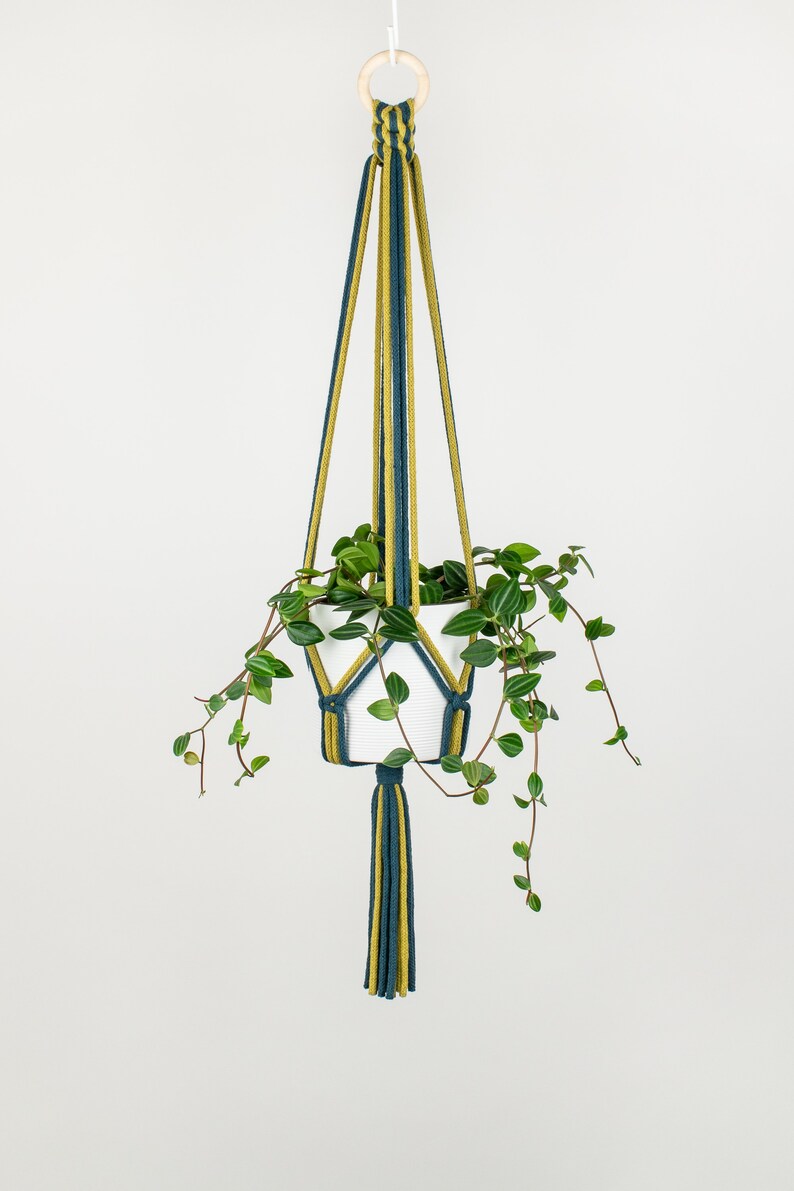 Colourful Macrame Plant Hanger LISA, 2 Colours Combination, Recycled Cotton image 4