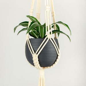 May include: A macrame plant hanger with a black pot and a green plant hanging from it. The hanger is made of natural cotton rope and has a long tassel.