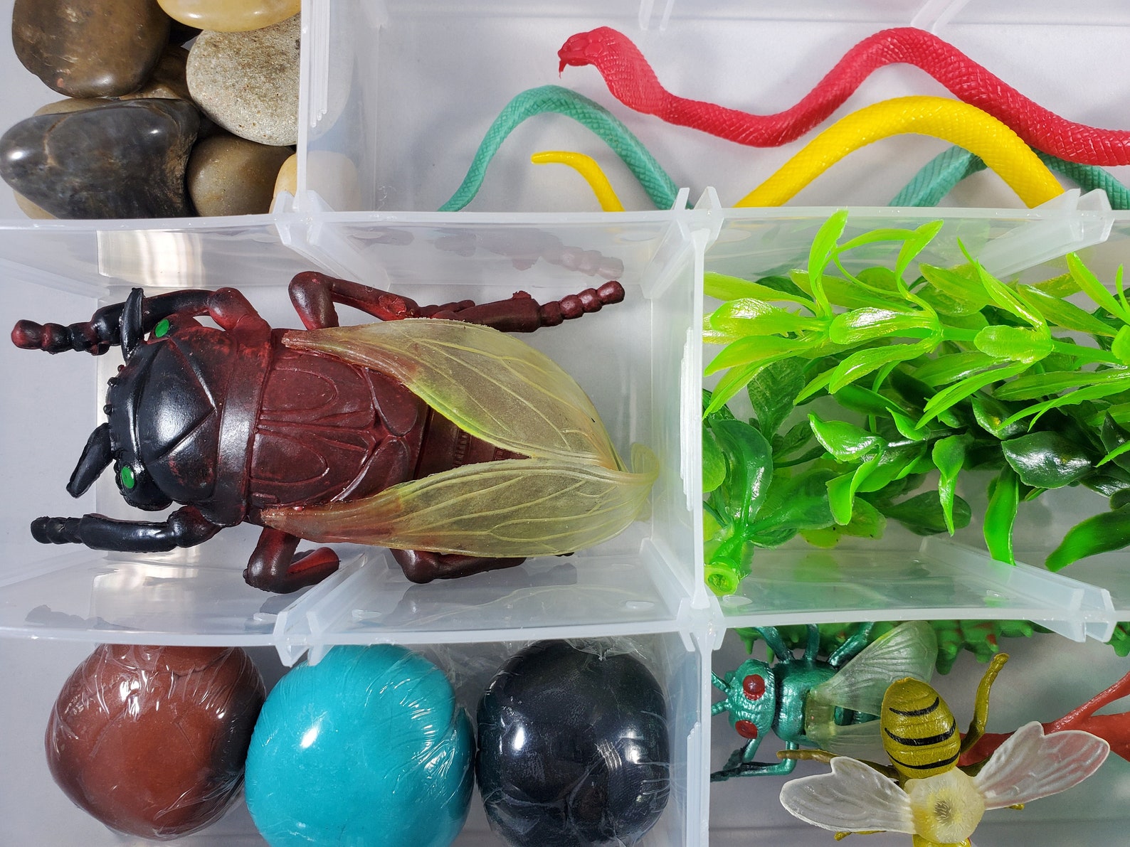 Insect and Bugs Play Dough Sensory Kit Insect Playdough Box Etsy