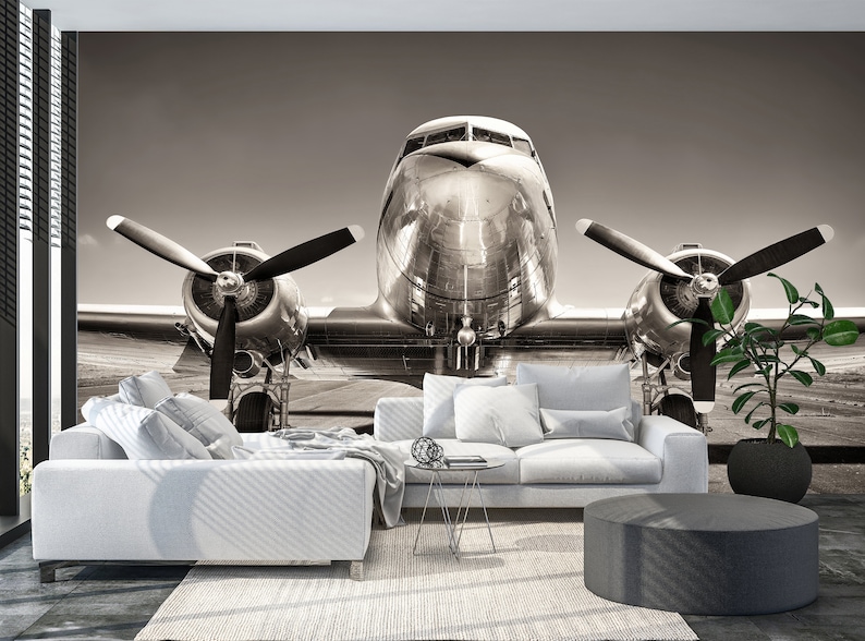 Airplane wallpaper, Self Adhesive Peel and Stick Airplane on a Runway Wallpaper Removable Vinyl Wall Mural Entryway Office Giant Wall Decor image 3