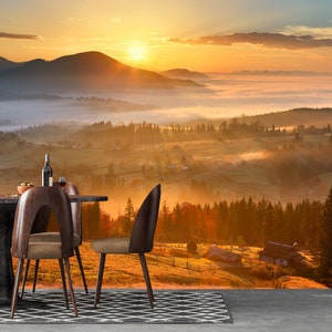 Sunrise Forest Wallpaper Mural: Peel & Stick Removable Landscape