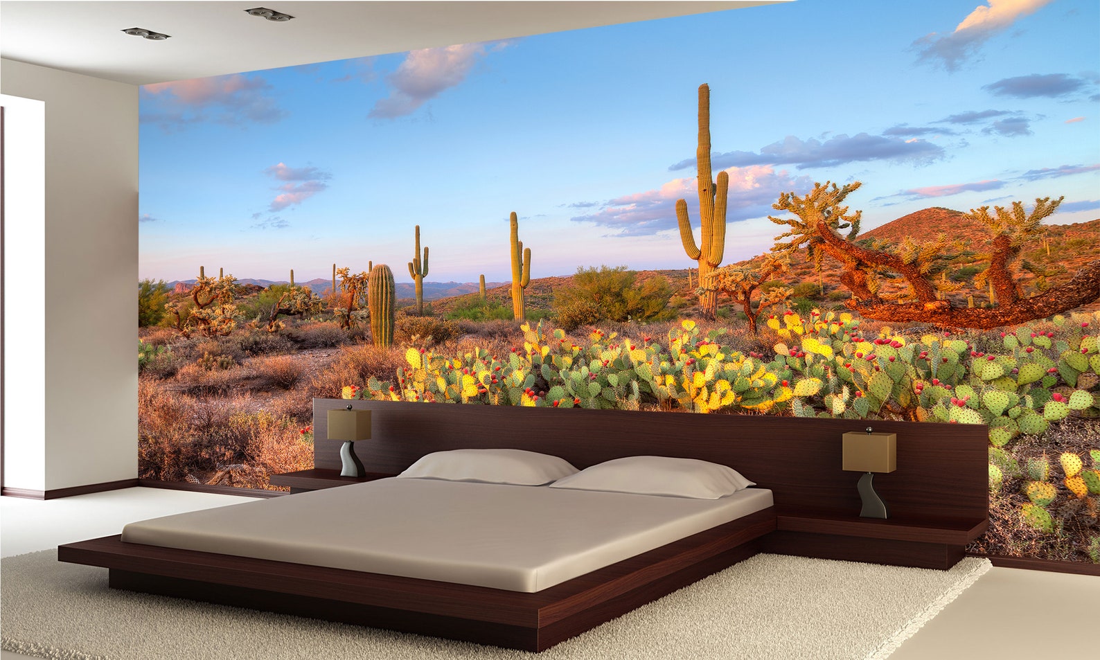 Peel and Stick Sonoran Desert Mural Photo Wallpaper Removable | Etsy