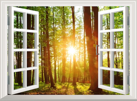 Wald Wandaufkleber 3D Fenster Effekt Aussicht Landschaft Wandtattoo  Abnehmbare Vinyl Kunst Poster Sonne Wandbild Selbstklebende Wand Dekor  Schwad Rahmen - .de