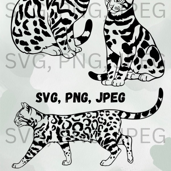 Bengal cat, cats, cat svg, bengal svg, bengal cat png, bengal cat svg, png, svg
