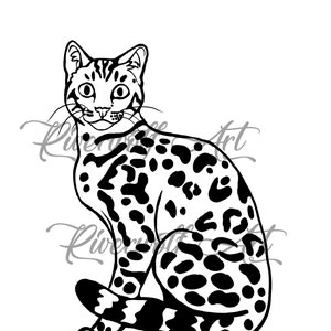 Bengal Cat Svg File Wild Kitten Digital Animal Download Pet Etsy