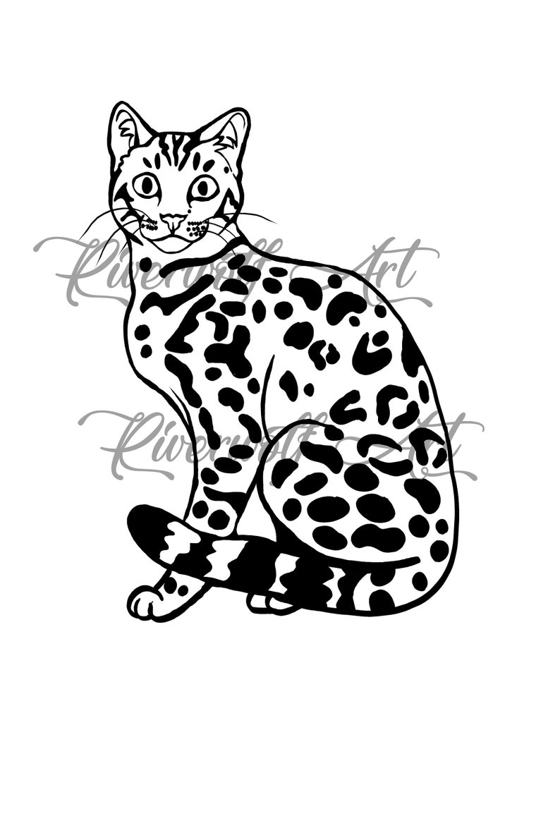 Bengal cat, cats, cat svg, bengal svg, bengal cat png, bengal cat svg, png, svg image 1