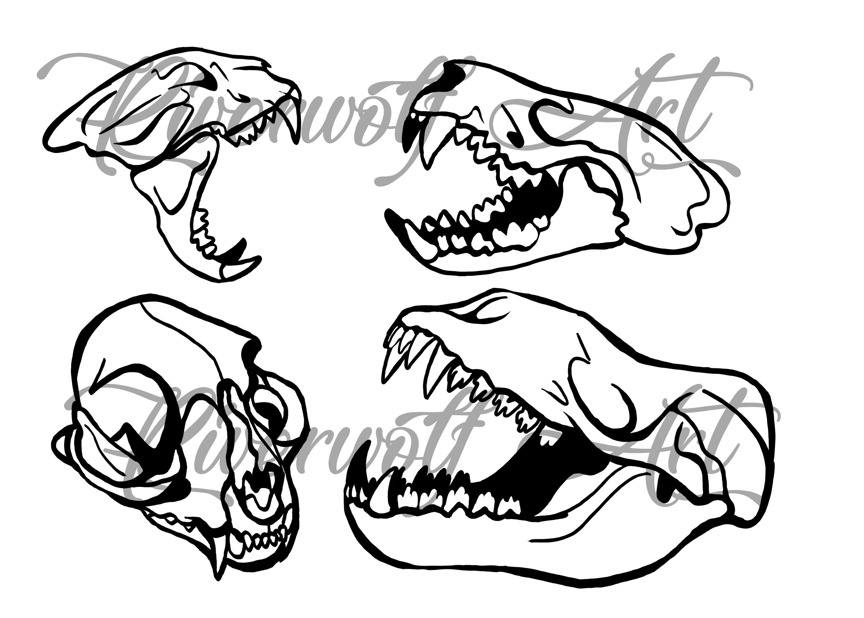 Download Nimal Skull Svg Halloween Svg Lion Skull Svg Skull Svg Etsy